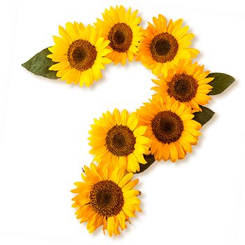 Health Questions